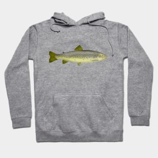 Mediterranean Trout Hoodie